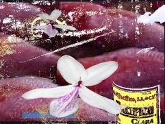 machinezap_051_3740311596