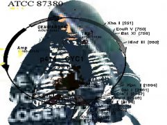 machinezap_082_3739243090